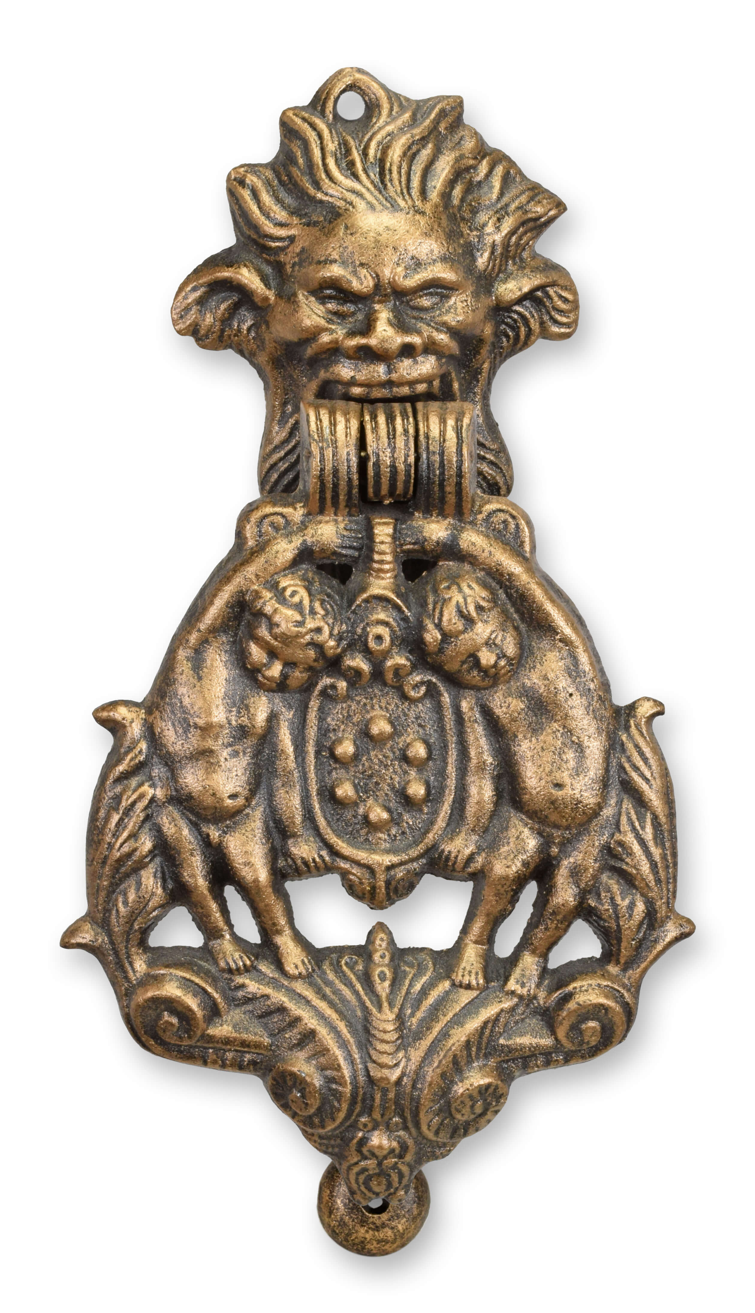 Bronze, Abzeichen, Löwe, Zubehör, Gesicht