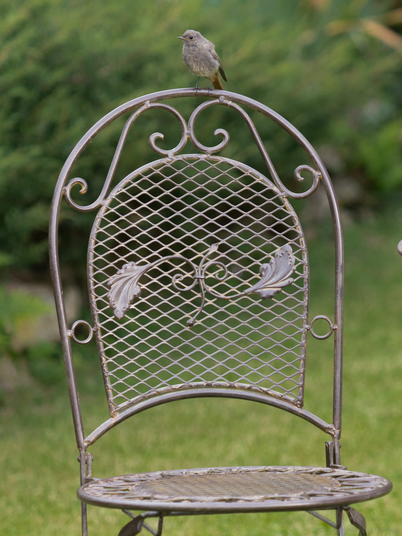 XXL Gartentisch + 4 Stühle Eisen Tisch Gartenmöbel antik Stil garden furniture
