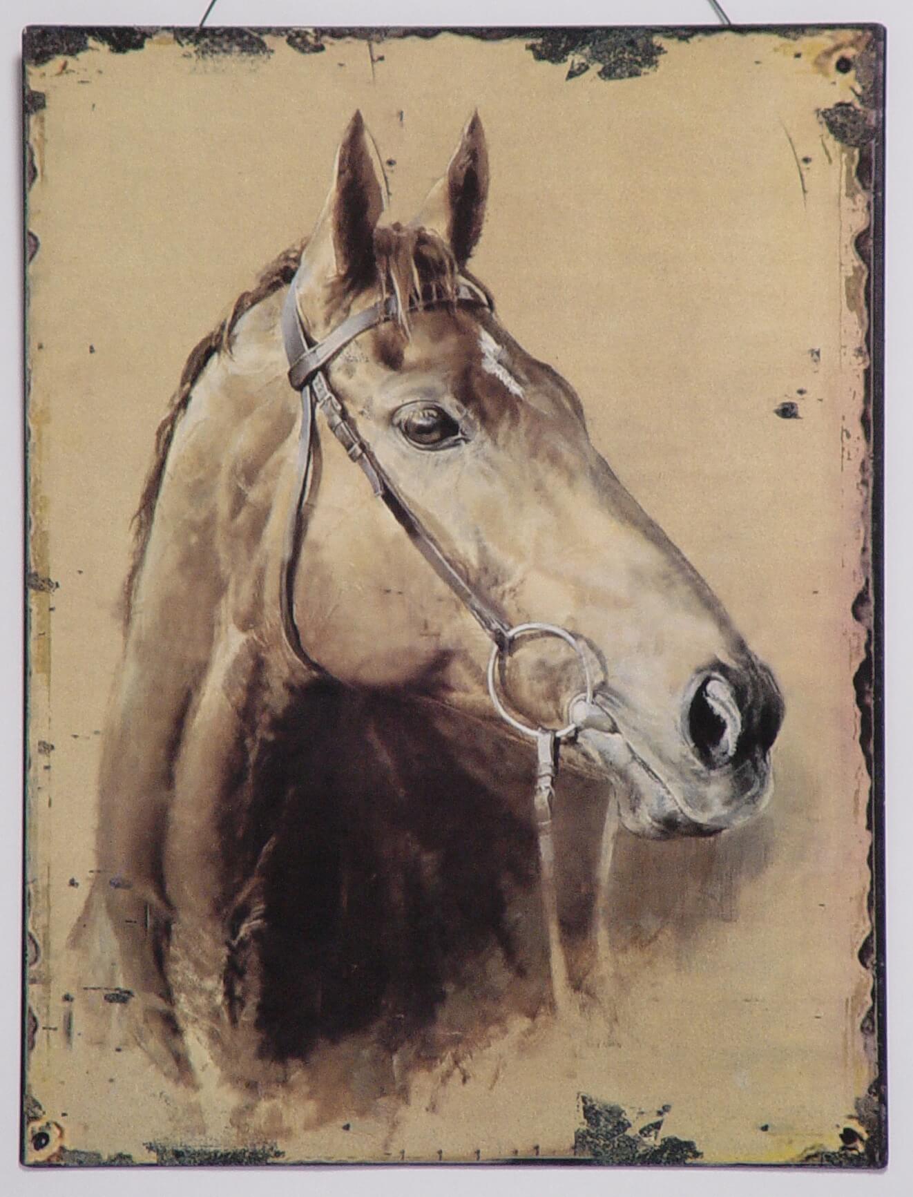 Halfter, Pferd, Kunst, Malerei, Colt Horse