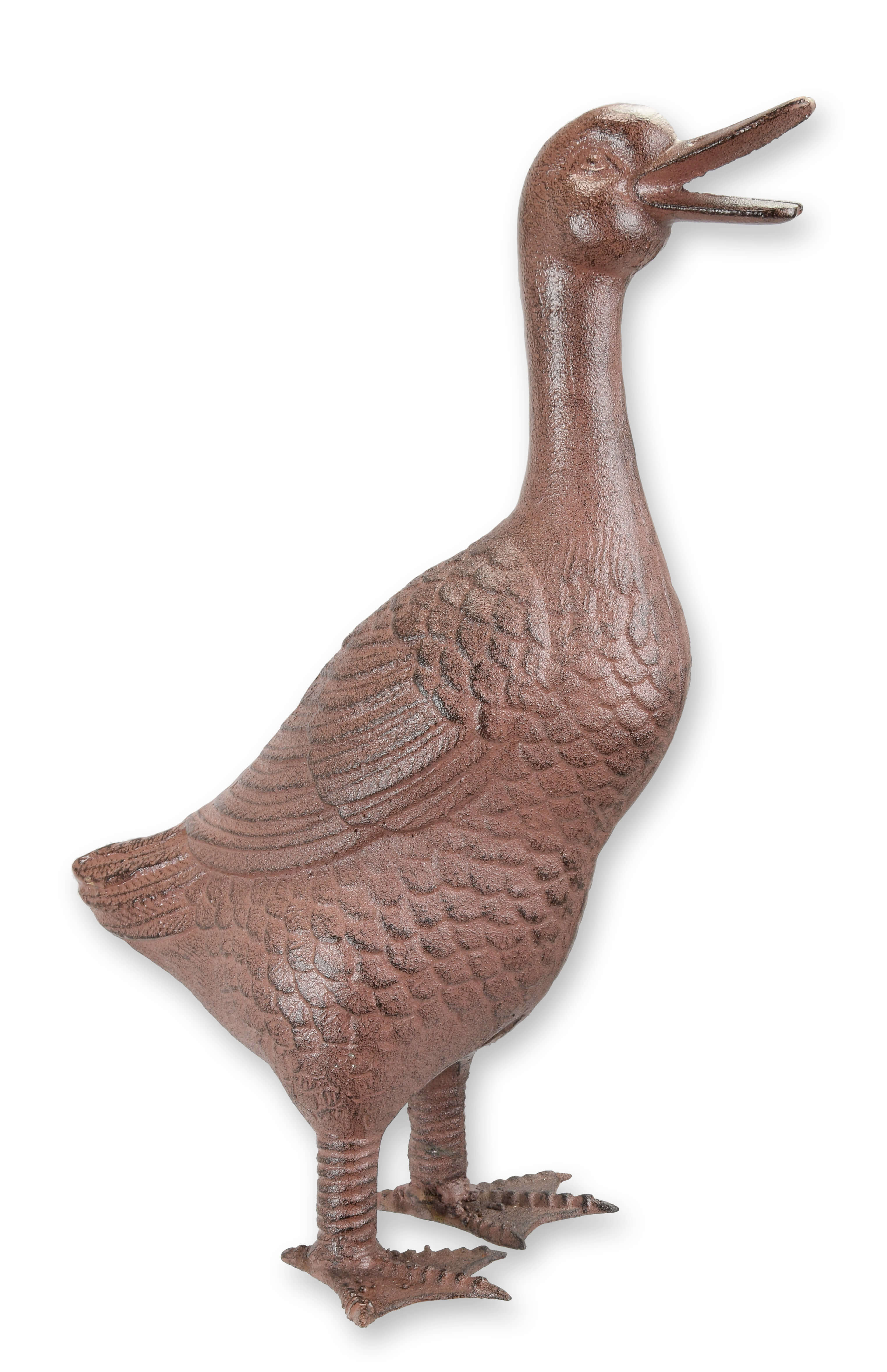 Tier, Vogel