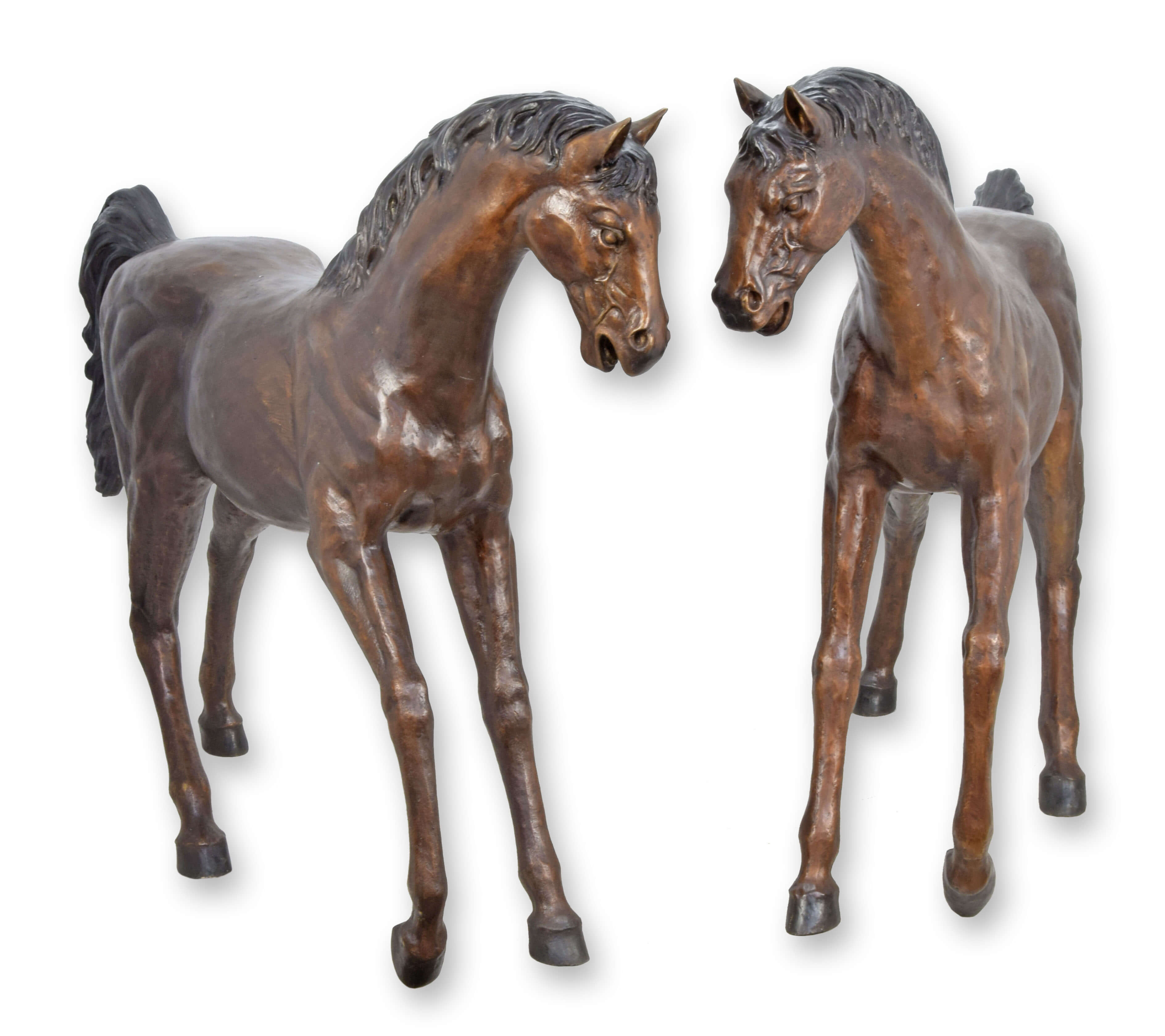 Bronze, Tier, Colt Horse, Pferd, Säugetier