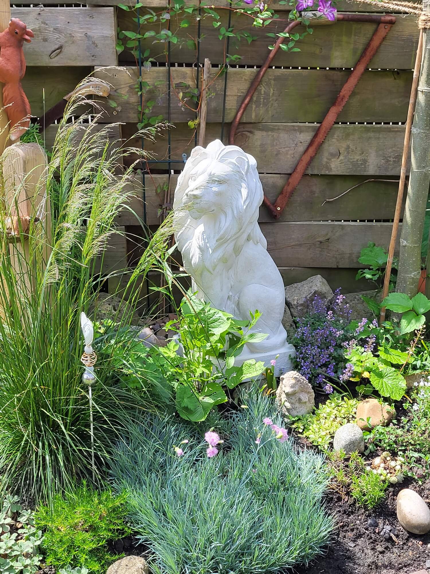 Garten, Pflanzgefäß, Topfpflanze, Kräuterig, Kräuter