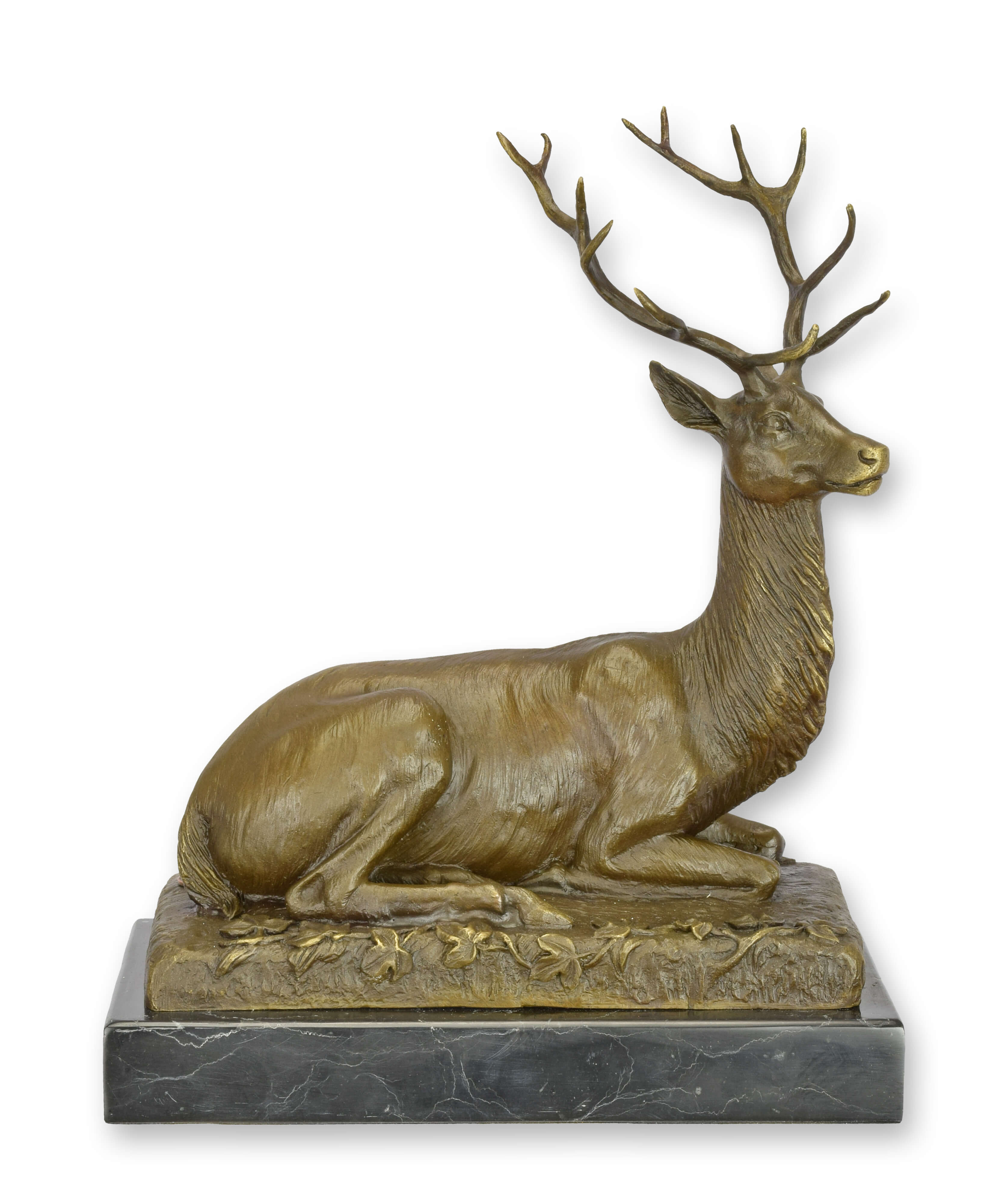 Hirsch, Säugetier, Tierwelt, Elch, Antilope