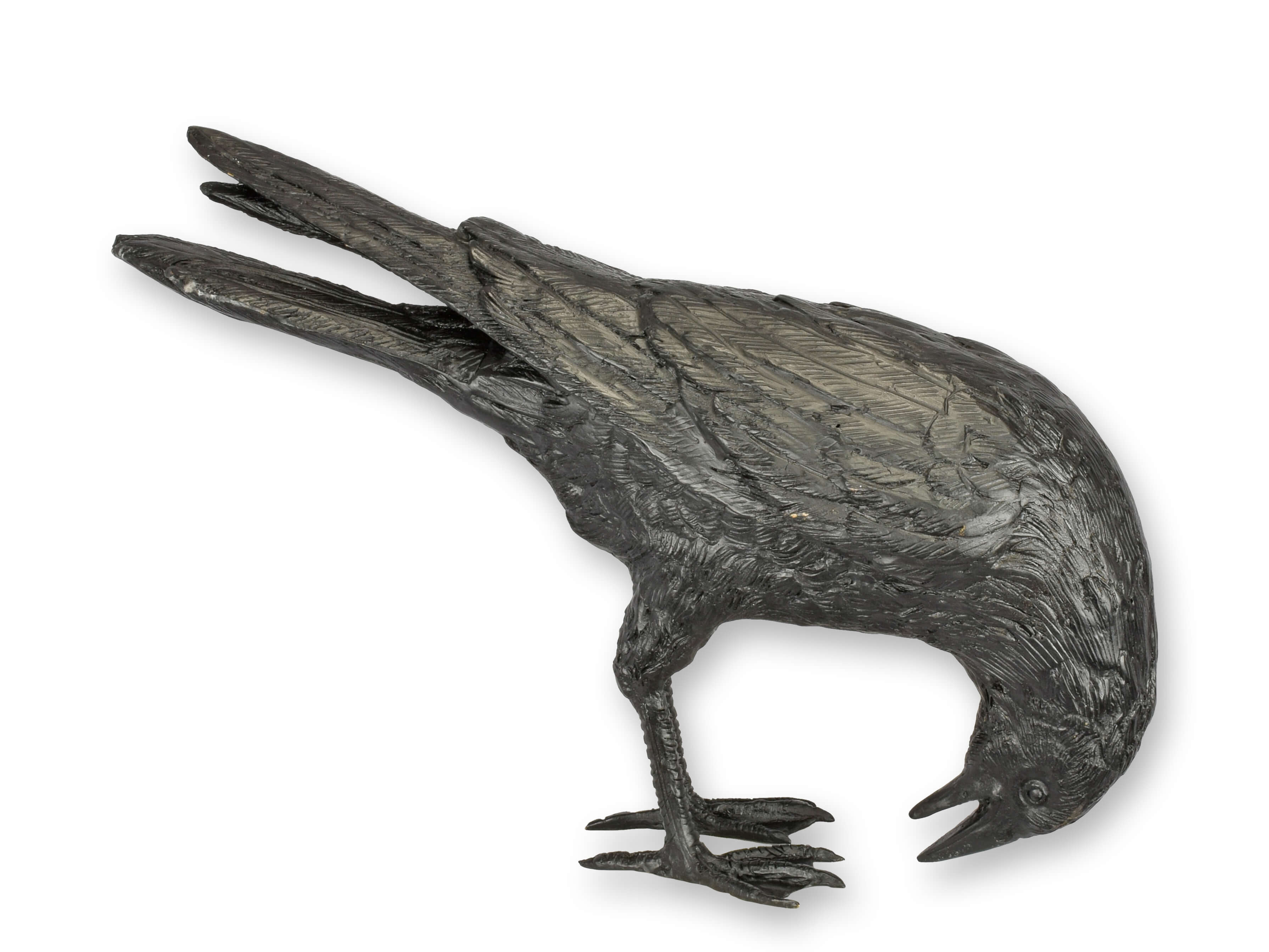 Tier, Vogel, Krähe