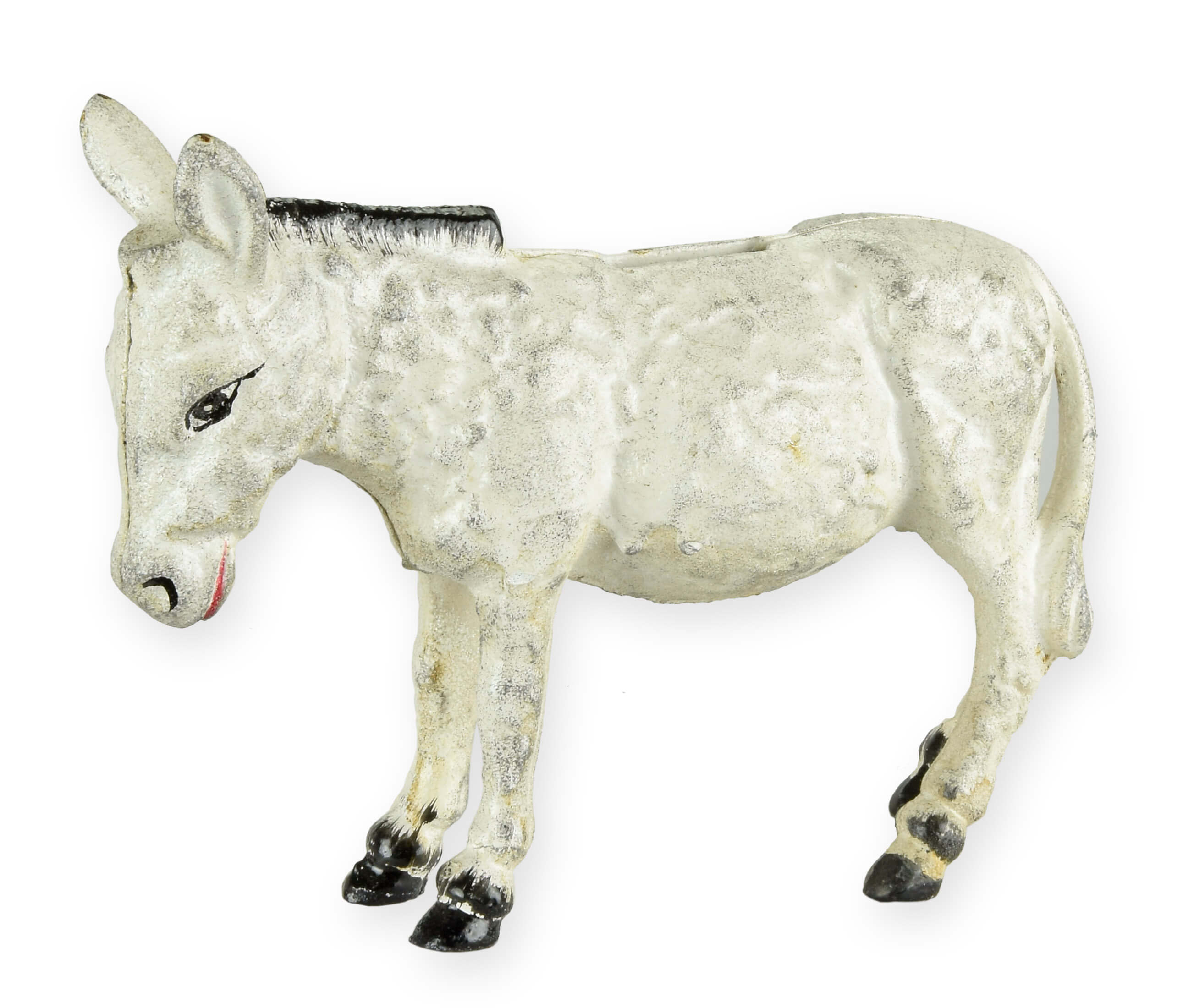 Tier, Pferd, Säugetier, Esel