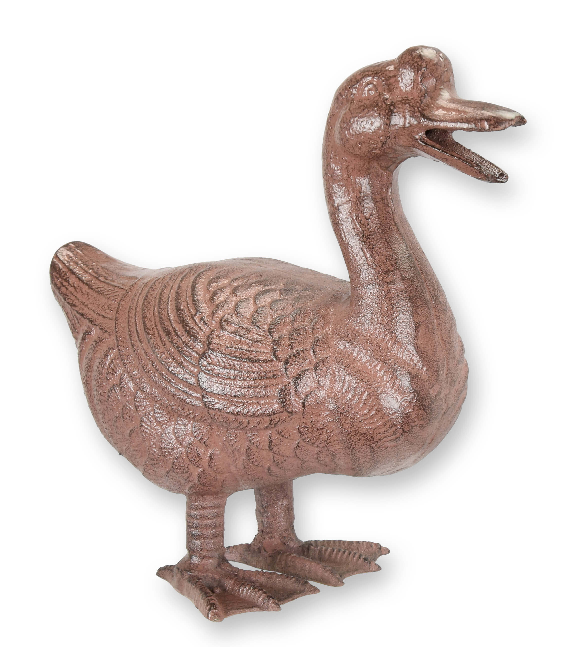 Tier, Vogel