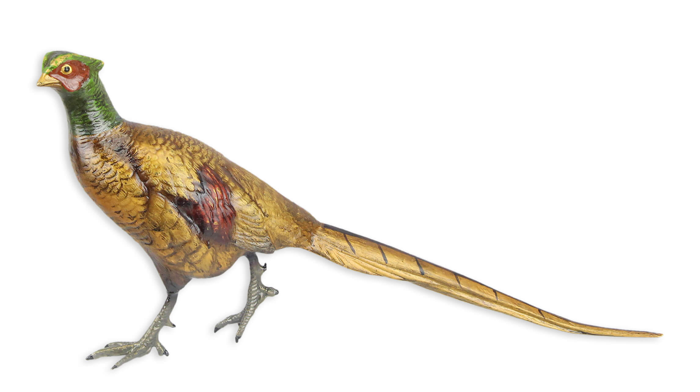 Tier, Vogel