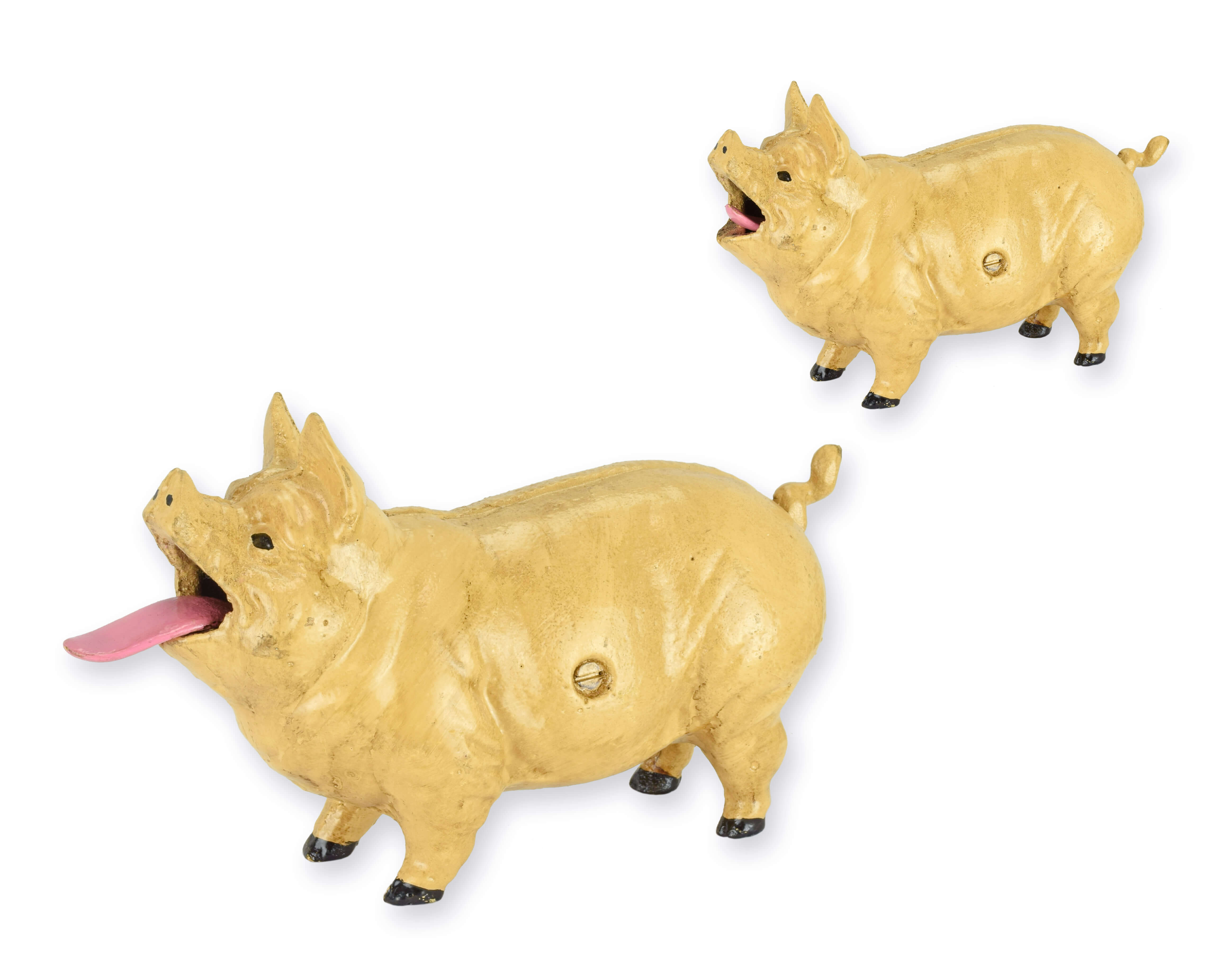 Tier, Säugetier, Schwein