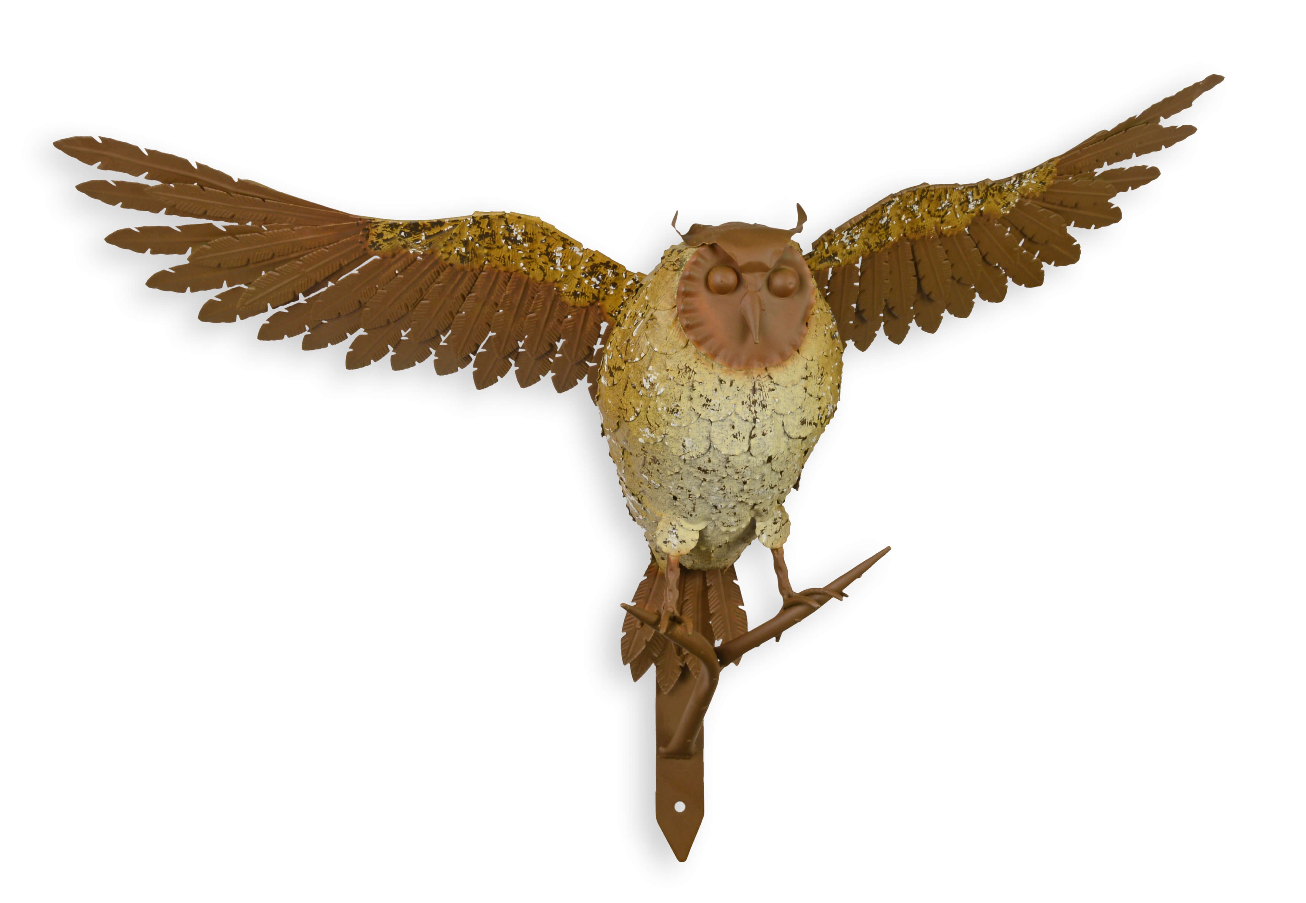 Tier, Vogel, Fliegend, Geier