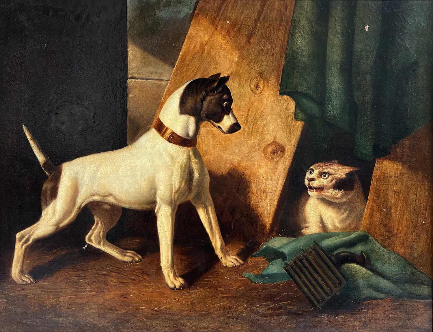 Hund, Schwarz-Weiß, Halsband, Tier, Innenraum