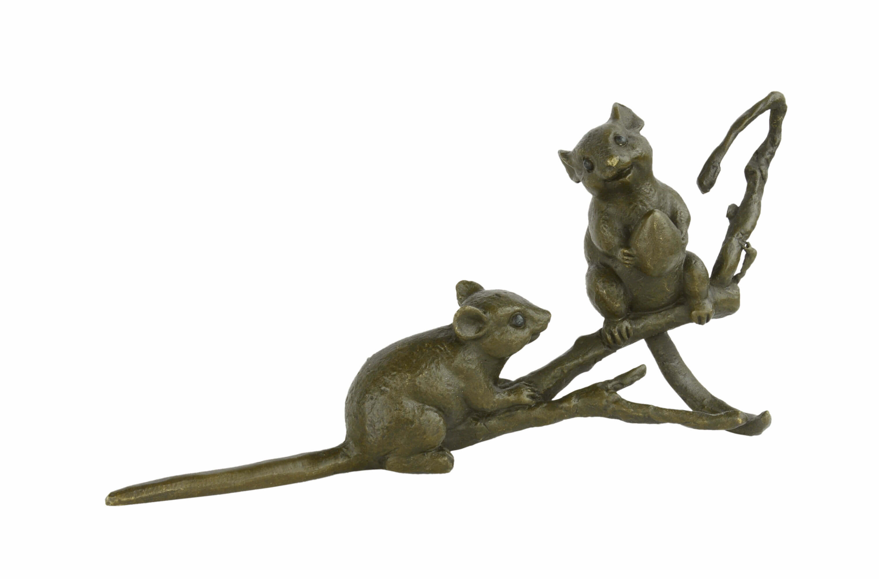 Tier, Säugetier, Katze, Haustier