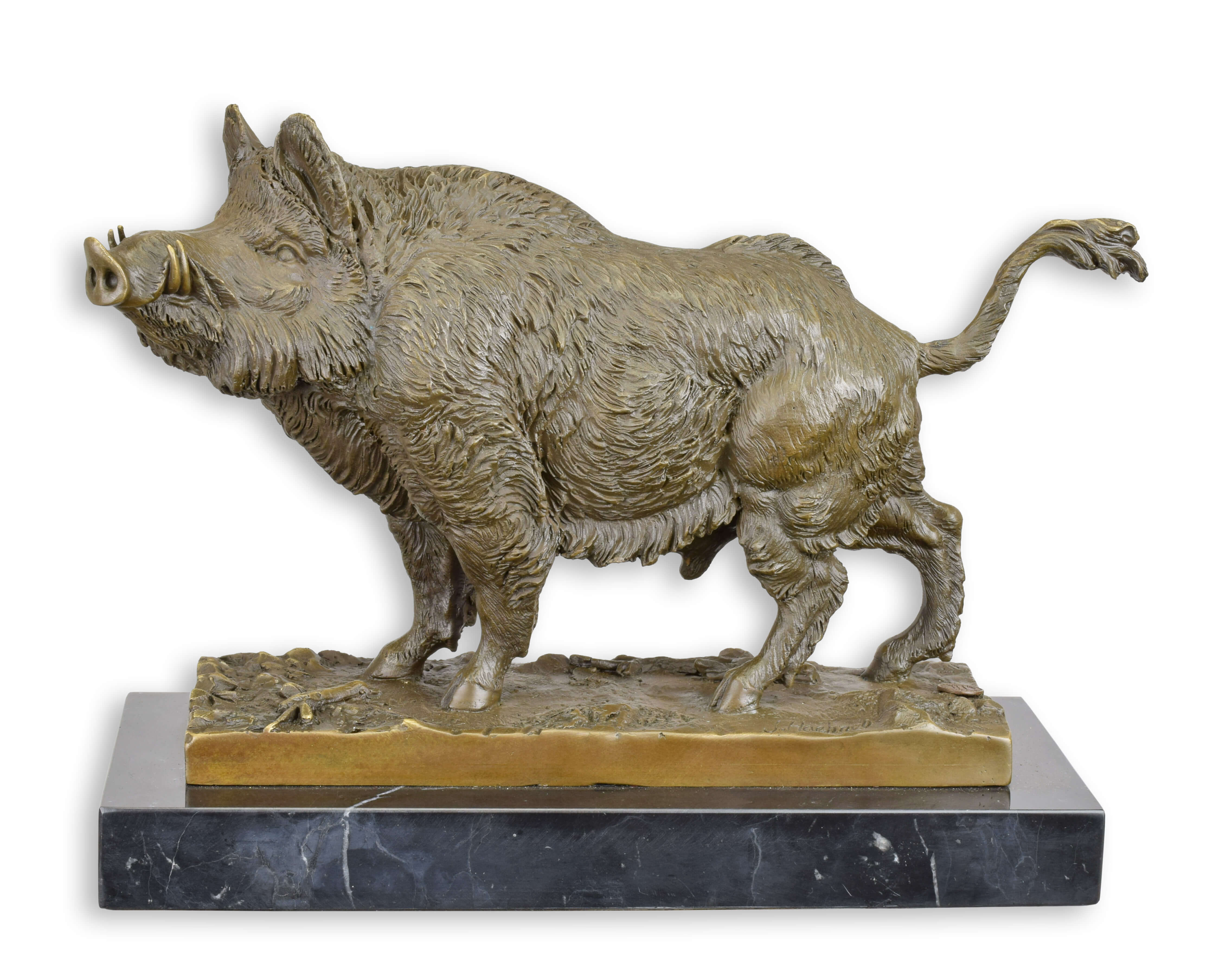Wildschwein, Schwein, Säugetier, Hund