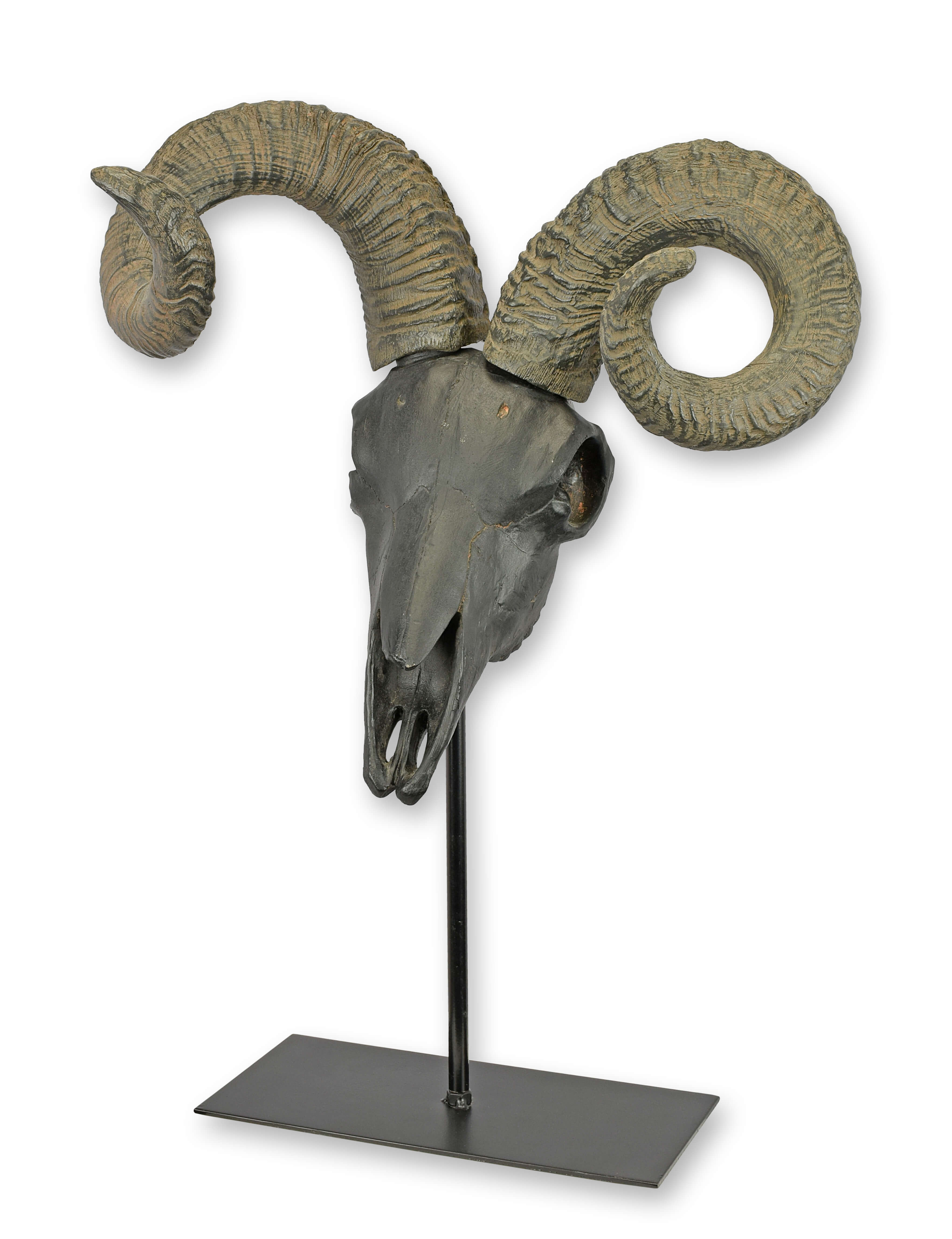 Bronze, Tier, Vogel