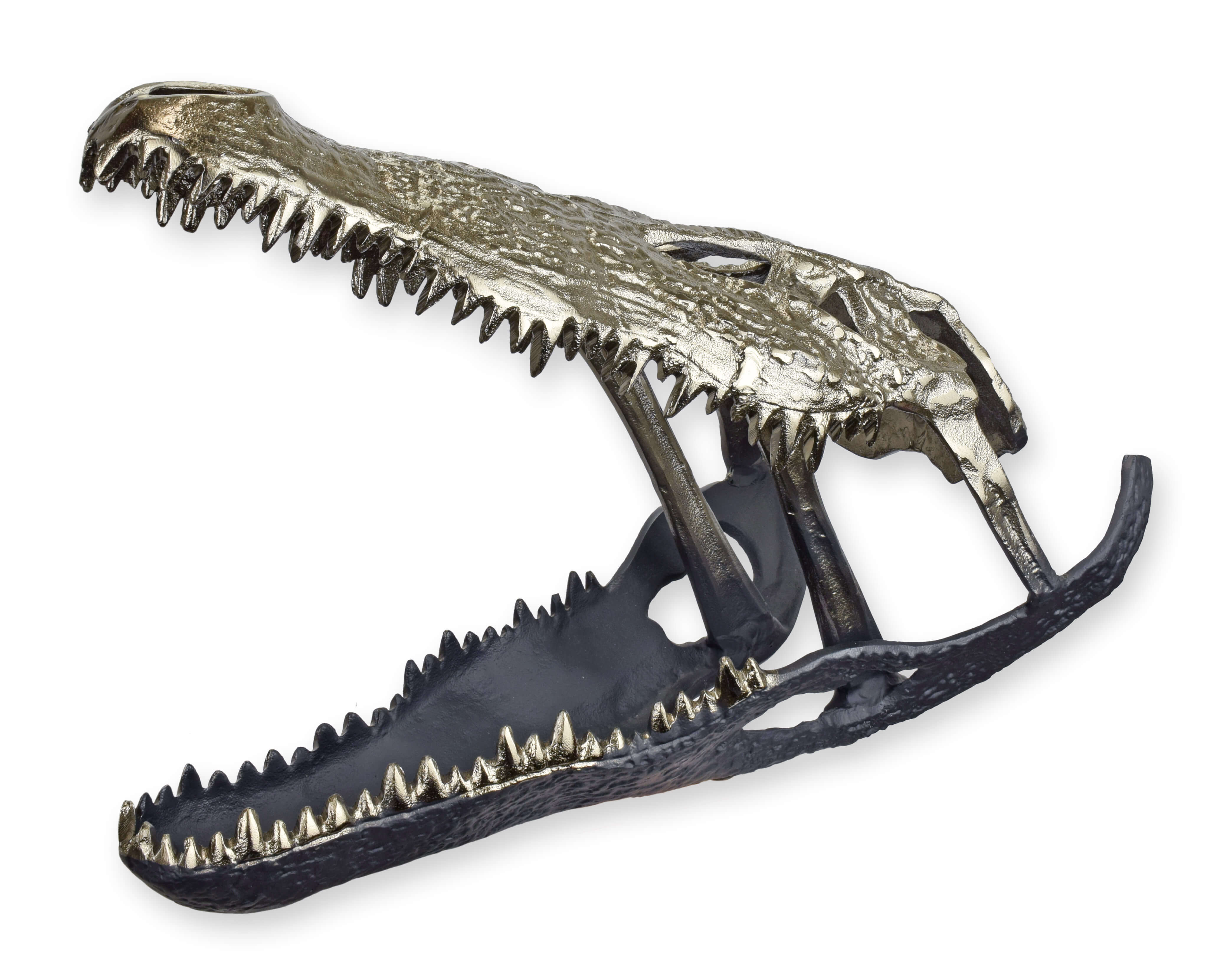Tier, Dinosaurier, Reptil