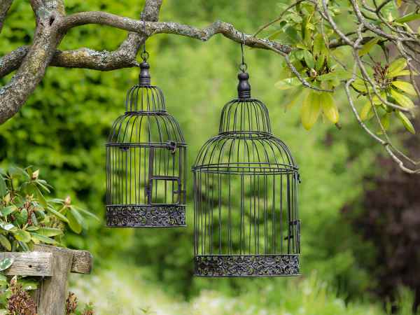 Wolk Monarch vooroordeel Paar vogelkooi vogelkooi decoratie antieke stijl metalen bruine vogelkooi  decoratie kooi 2x | Nederland